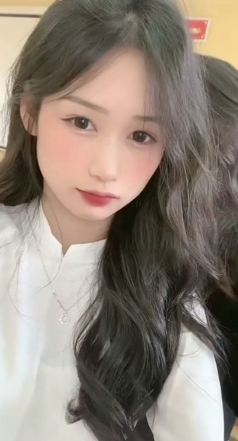 冰火魔厨动漫免费观看